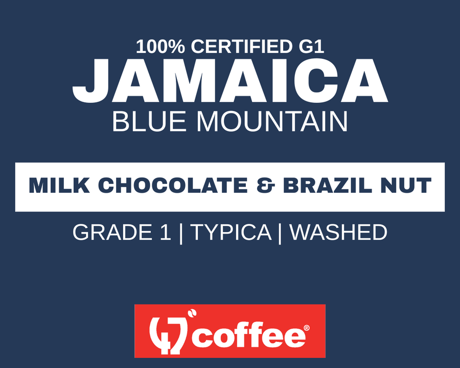 JAMAICA - BLUE MOUNTAIN - G1